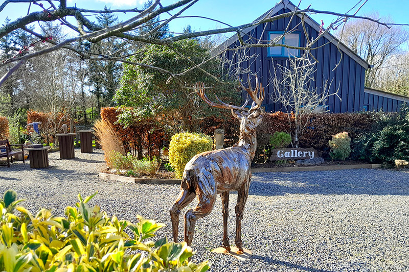 Workshop-wales Deer standing in the Workshop Wales courtyard
